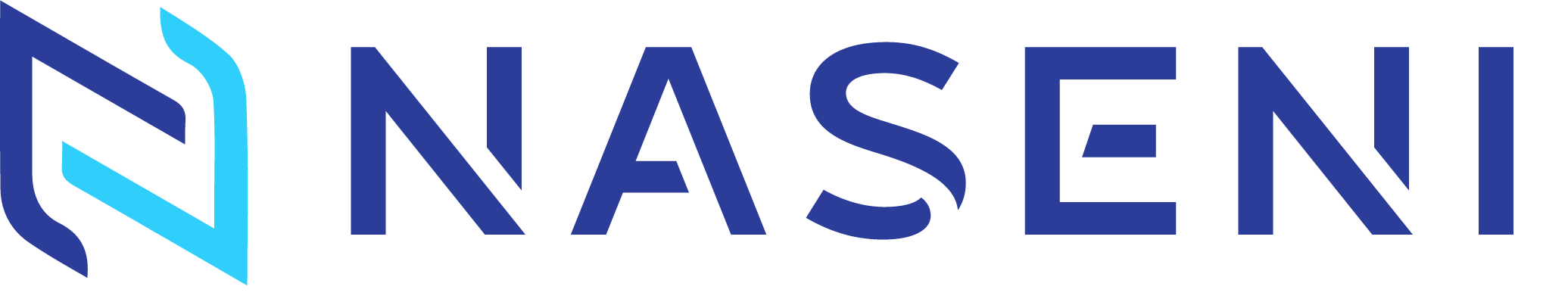 NASENI Logo